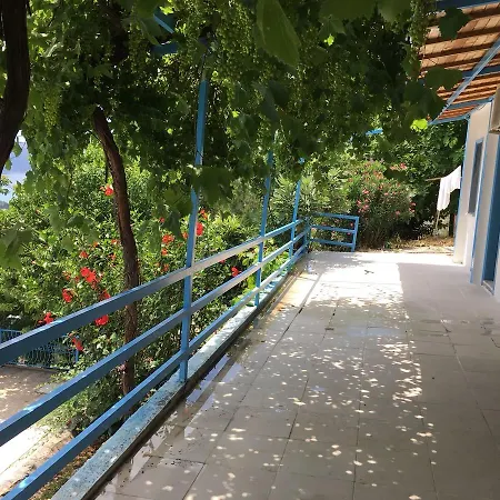 Mavi Oludeniz * 페티예